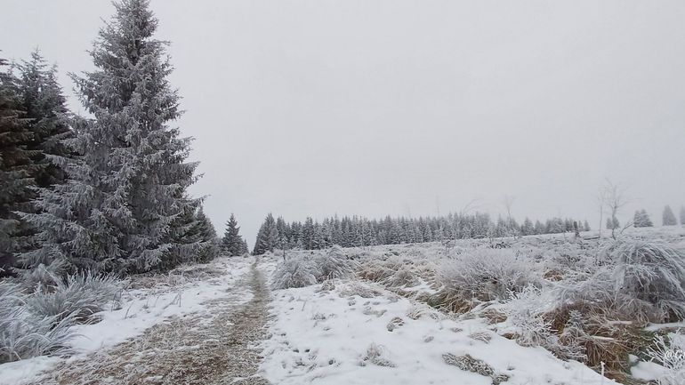 Météo en Belgique : chutes de neige en fin de nuit et jeudi matin