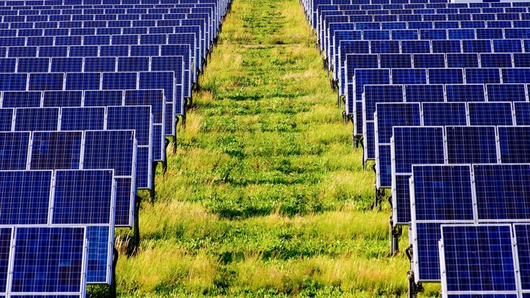 Chute de 25% des prix des panneaux solaires en Europe face à une concurrence féroce des fournisseurs chinois