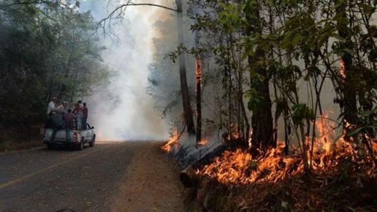 Accablé par des températures frôlant les 52°C, le Mexique combat 159 feux de forêt