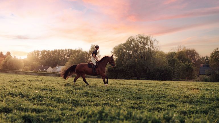 Almeroth : un projet d’agrotourisme et de gîte équestre divise