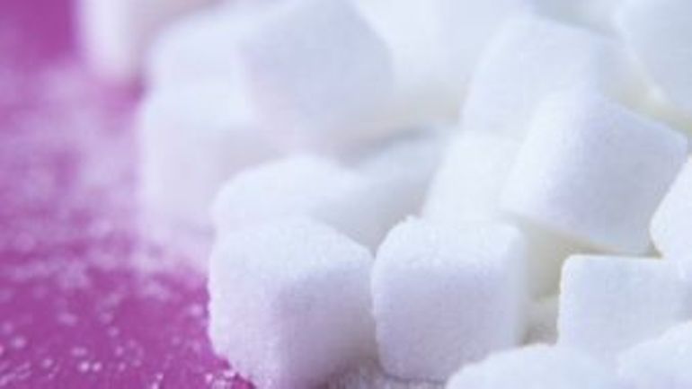 Le prix du sucre blanc au plus haut depuis 10 ans