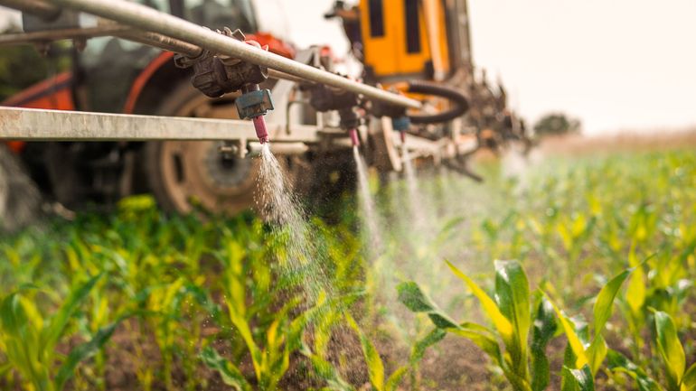 Des traces de pesticides interdits depuis 40 ans trouvés dans le sang des Wallons, montre la première campagne de biosurveillance