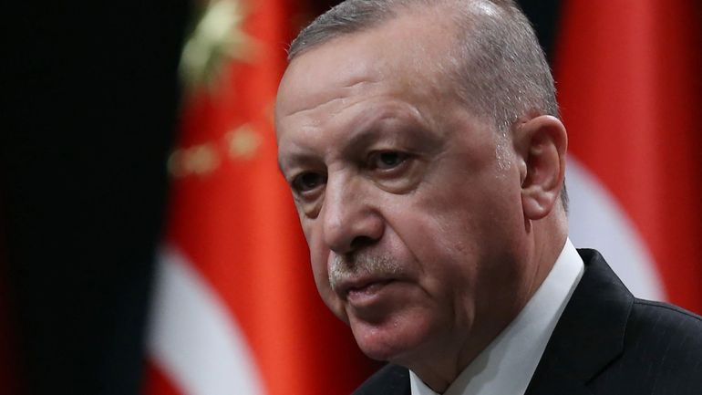 Turquie : Erdogan appelle l'Egypte et les pays du Golfe à un partenariat 