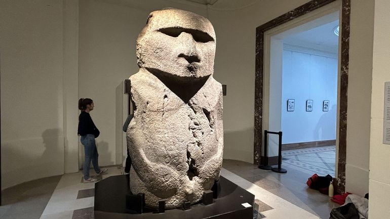 Statues géantes de l'île de Pâques : comment et pourquoi la Belgique en possède une rarissime ?