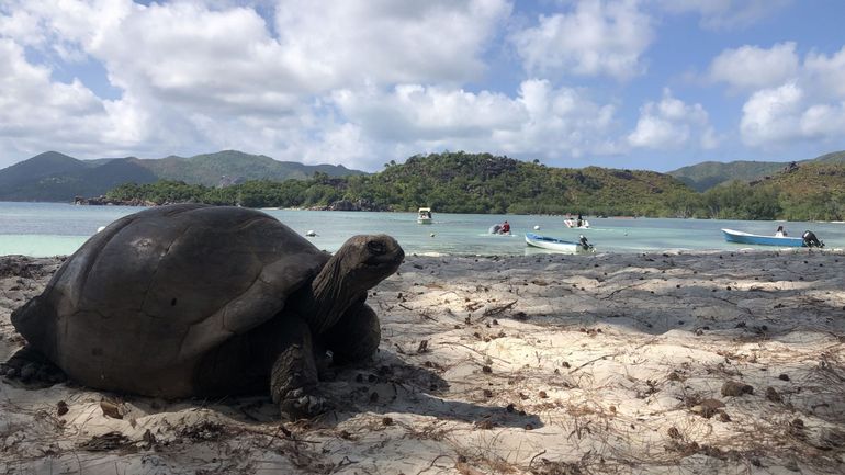 Seychelles : la menace silencieuse de la montée des eaux