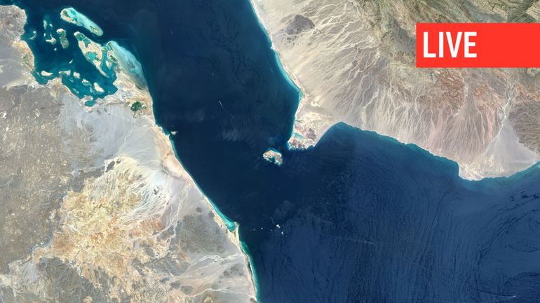 Direct - Guerre Israël-Gaza : attaque d'ampleur des Houthis en mer Rouge, alors que la situation s'invite au Conseil de sécurité