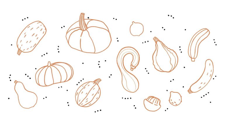 Où manger et comment cuisiner la courge ?