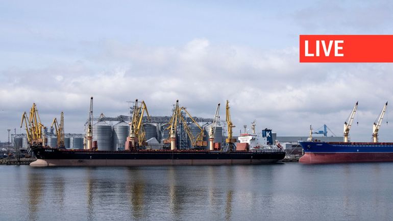 Direct - Guerre en Ukraine : l'Ukraine considèrera les navires en mer Noire allant vers la Russie comme potentiels 