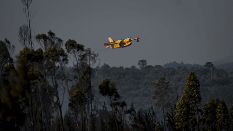 Portugal : violente reprise des feux de forêt dans le centre, des centaines de pompiers mobilisés