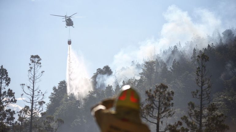 Argentine : 2000 hectares de forêt détruits par des feux de forêt, 200 foyers évacués en Patagonie