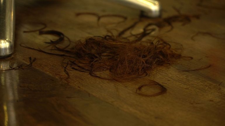Dépolluant, engrais, renforçateur de matériaux : le recyclage des cheveux, une filière très innovante