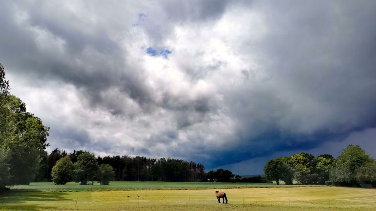 Intempéries : l'IRM lance une alerte orange aux orages sur toutes les régions sauf la Côte, appel à la prudence et évacuations