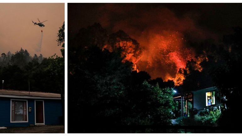 Chili : plus de 250 incendies de forêt embrasent le pays, un bilan de 22 morts pour le moment
