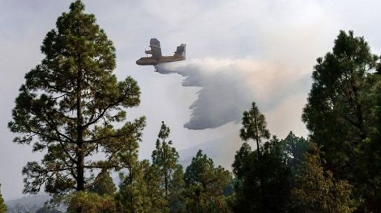 Espagne : Tenerife confrontée à nouveau aux incendies, 3000 personnes évacuées