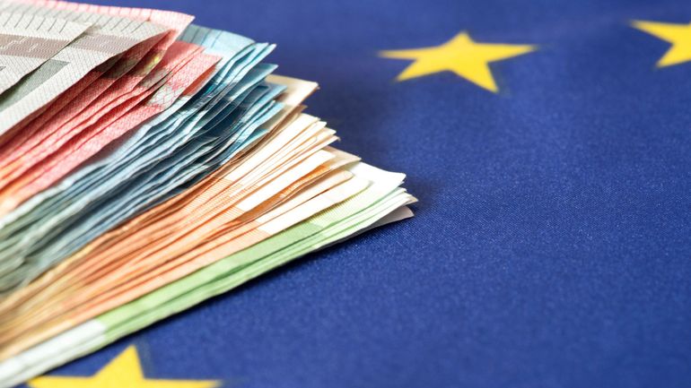 17 arrestations dans 8 pays de l'UE dans le cadre d'une enquête pour fraude fiscale