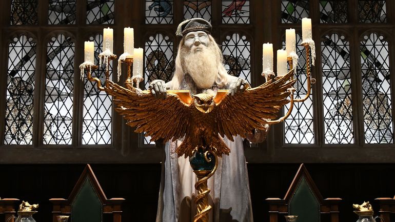 Avada Kedavra, on sait enfin pourquoi la cicatrice d’Harry Potter ...