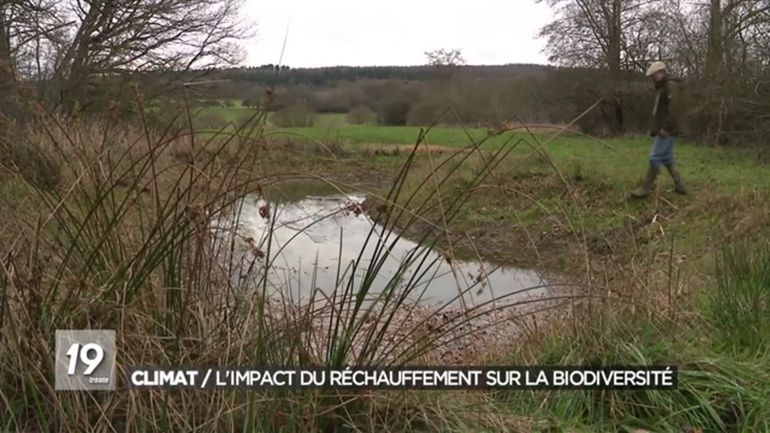 La sécheresse de l'été 2022 rend incertain le futur de certaines espèces rares, notamment à Rochefort
