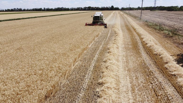 La Russie demande le soutien de l'ONU après l'accord sur les exportations de céréales