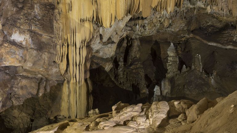 Grottes de Han : un voyage au coeur de la roche et de l'eau