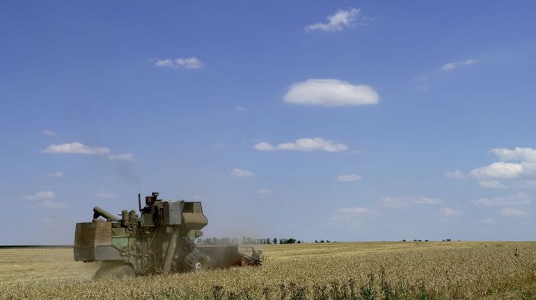 L'Ukraine revoit ses prévisions de récoltes agricoles à la hausse malgré la guerre
