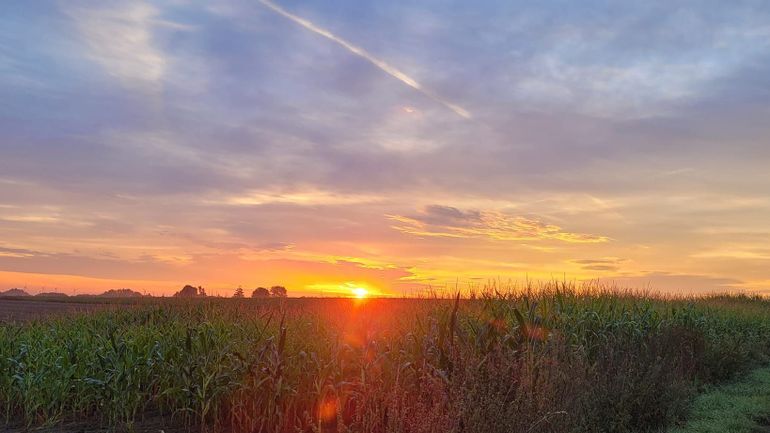 Météo en Belgique : journée chaude et ensoleillée en perspective ce samedi