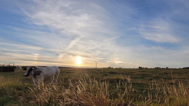 Météo en Belgique : un vendredi lumineux et pas trop chaud en perspective