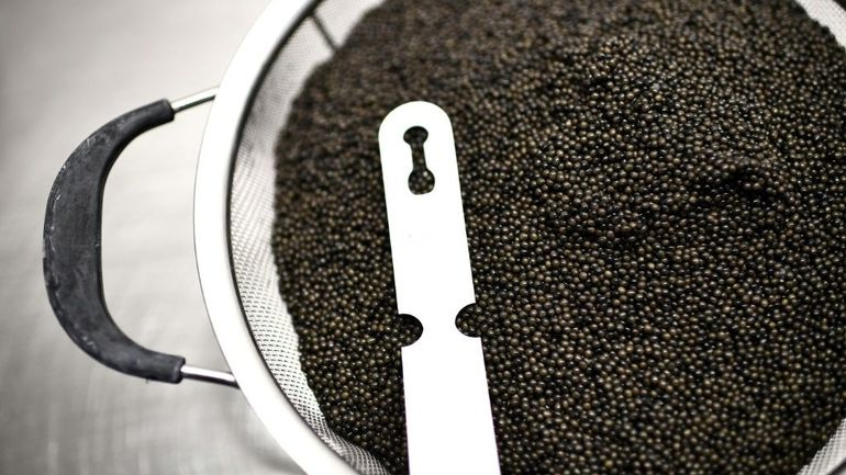 Le caviar d'Aquitaine obtient de l'UE sa certification IGP