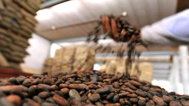 Flandre : Barry Callebaut boucle la reprise de l'anversoise 