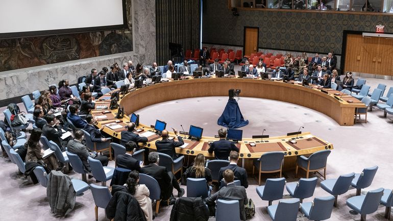 Cinq nouveaux membres élus au Conseil de sécurité de l'ONU