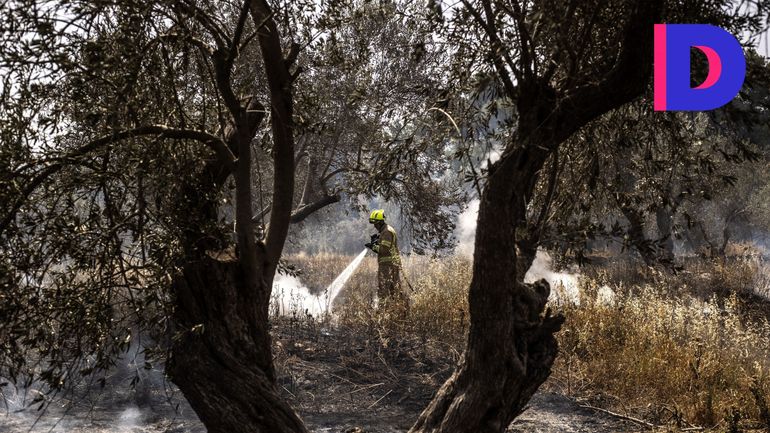 Un mois après, retour sur la désinformation qui a entouré les incendies de Jérusalem