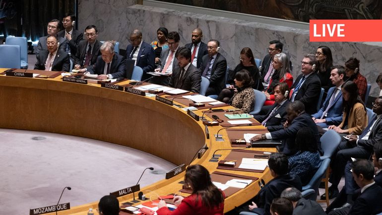 Direct Israël - Gaza : le vote du Conseil de sécurité de l'ONU reporté à ce mardi matin pour négocier une interruption des hostilités