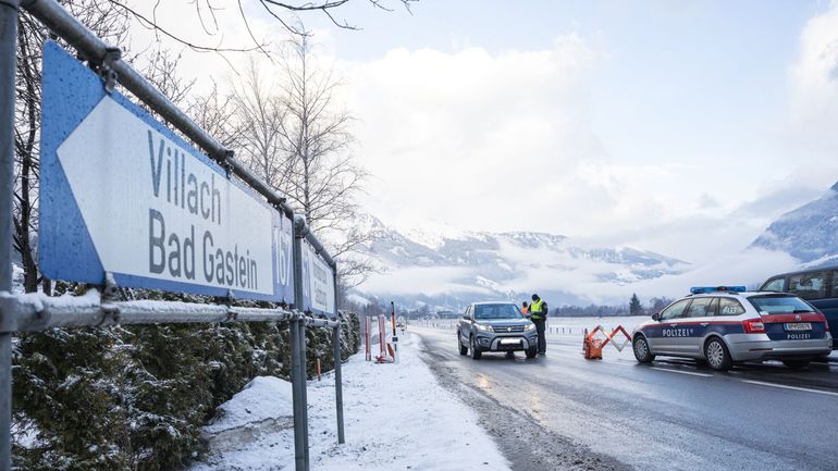Automobile : dissensions sur les moteurs thermiques au sein de la coalition autrichienne