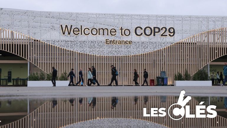 Accord de la COP29 : 