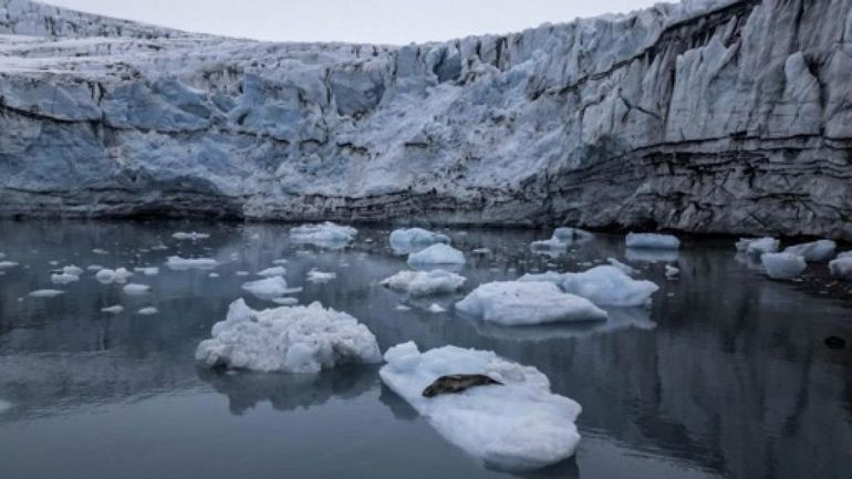 L'Antarctique est de plus en plus impacté par le tourisme