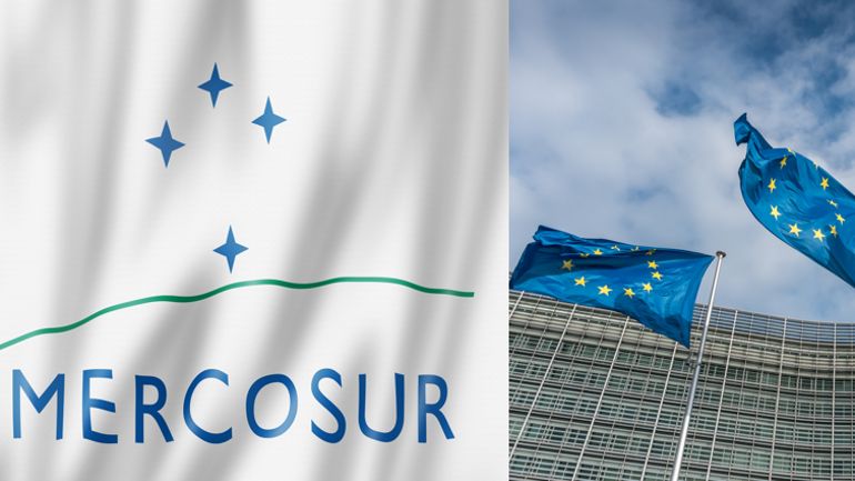 Accord de libre-échange entre l'Union européenne et le Mercosur : de quoi parle-t-on ?