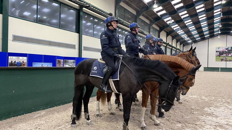 Les chevaux de la police fédérale vont s'installer dans un haras de 15 hectares à Wisbecq