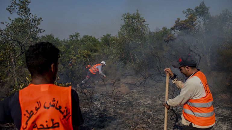 Feux de forêt au Maroc : un mort, un millier de familles évacuées