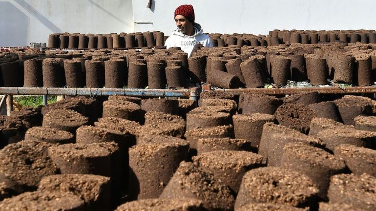 Alternative au bois, une start-up tunisienne transforme les déchets d'olives en chauffage