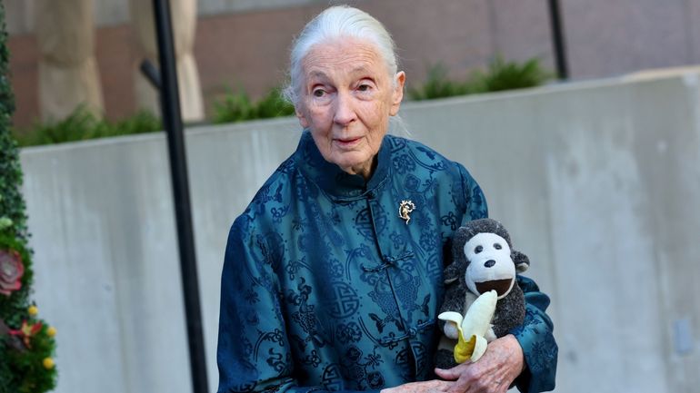 La primatologue Jane Goodall est décédée à l'âge de 91 ans