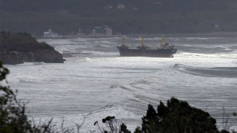 Russie : fuite de pétrole en mer Noire, le WWF craint qu'elle n'endommage gravement l'environnement