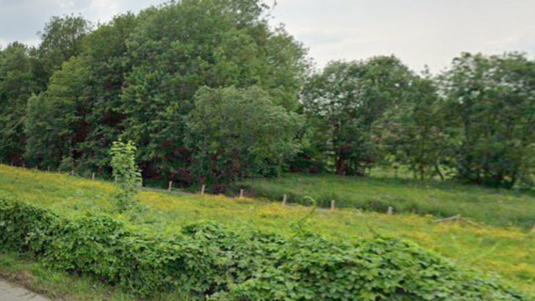 Berchem Sainte-Agathe: la Région bruxelloise va acquérir plusieurs parcelles d'espace vert pour le rendre accessible au public