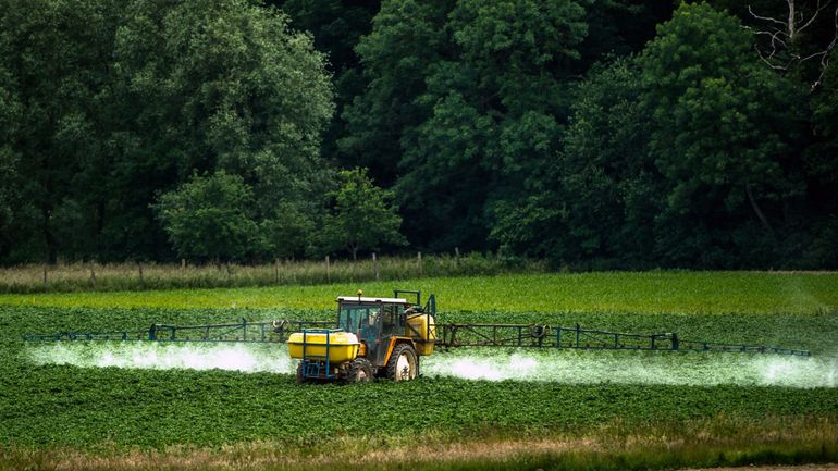 Des pesticides jusque sur votre terrasse : quand les agriculteurs ne respectent pas les zones tampons