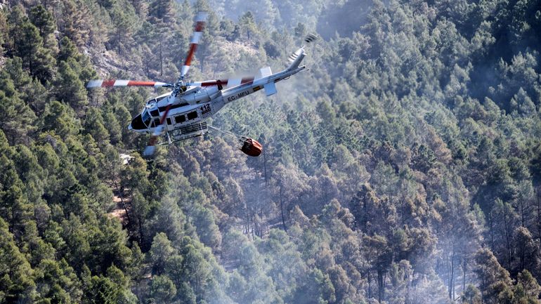Espagne : des centaines de pompiers luttent contre un incendie de forêt dans la région de Valence