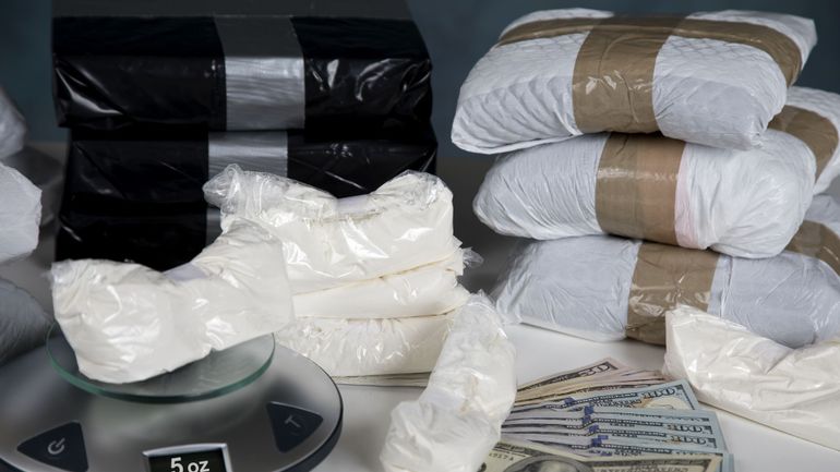 Coup de filet des douanes belges et européennes : saisie d'une tonne et demi de cocaïne en Mer du Nord