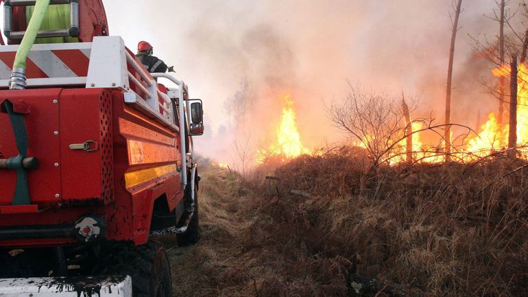 Plus de 200 hectares ravagés par les flammes en Ardèche, dans le sud de la France