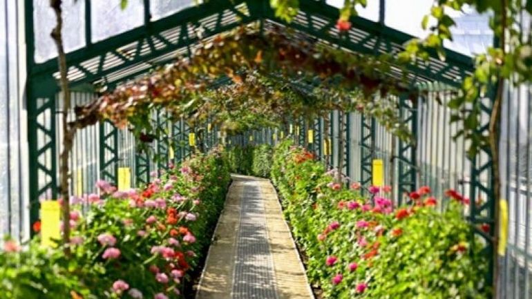 Les Serres royales de Laeken ouvrent leurs portes dès le 17 avril