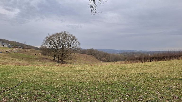 Météo en Belgique : un dimanche très nuageux et plus frais en perspective