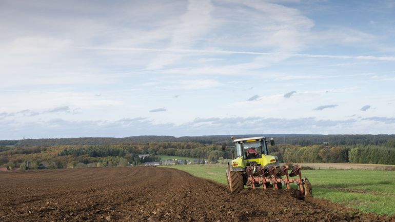 Nouvelle Politique agricole commune : le syndicat agricole Fugea se réjouit du plan wallon