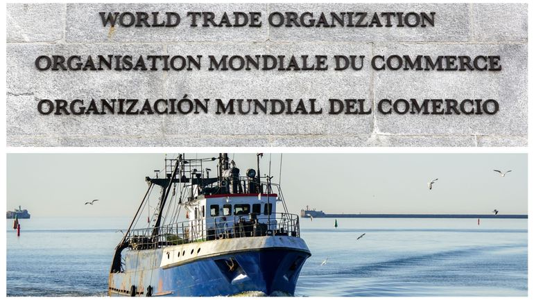 La Russie approuve à son tour un accord de l'OMC sur la pêche