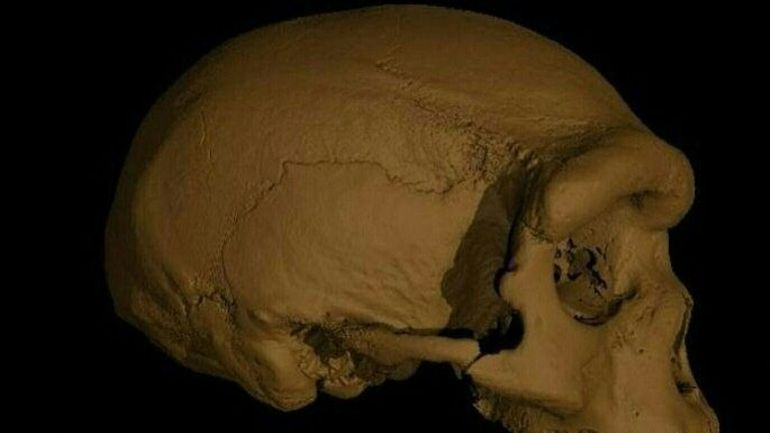 Un nouveau crâne retrouvé en Chine : il pourrait remettre en cause l'arbre généalogique de l'humain